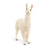 Lama