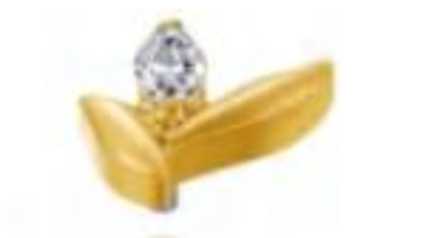 Piercing Mini Petala Gold