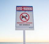 Placa "Proibido Animais" (ISN) 