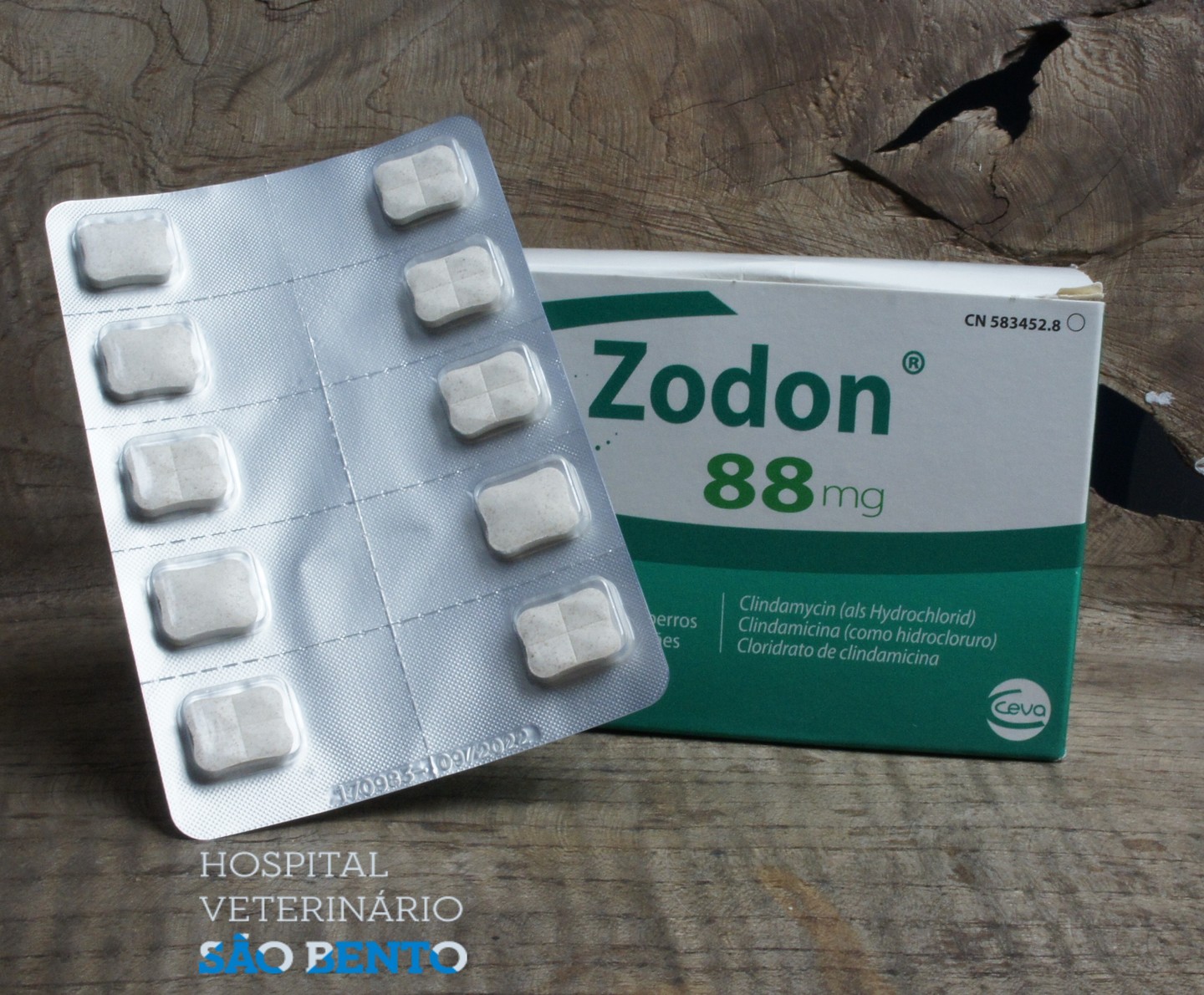 ZODON 88MG 10CP