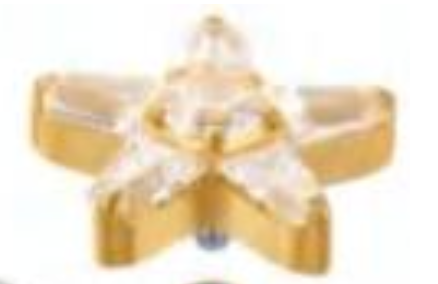 Piercing Estrelha CZ Lisa Gold