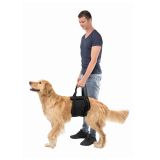 ARNES DE REABILITAÇÃO (M)