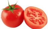 Tomate 67/82