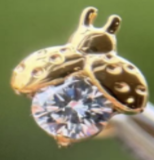 Piercing King Bee Gold