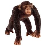 Chimpanzé