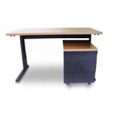 SECRETÁRIA DELTA CASTANHA