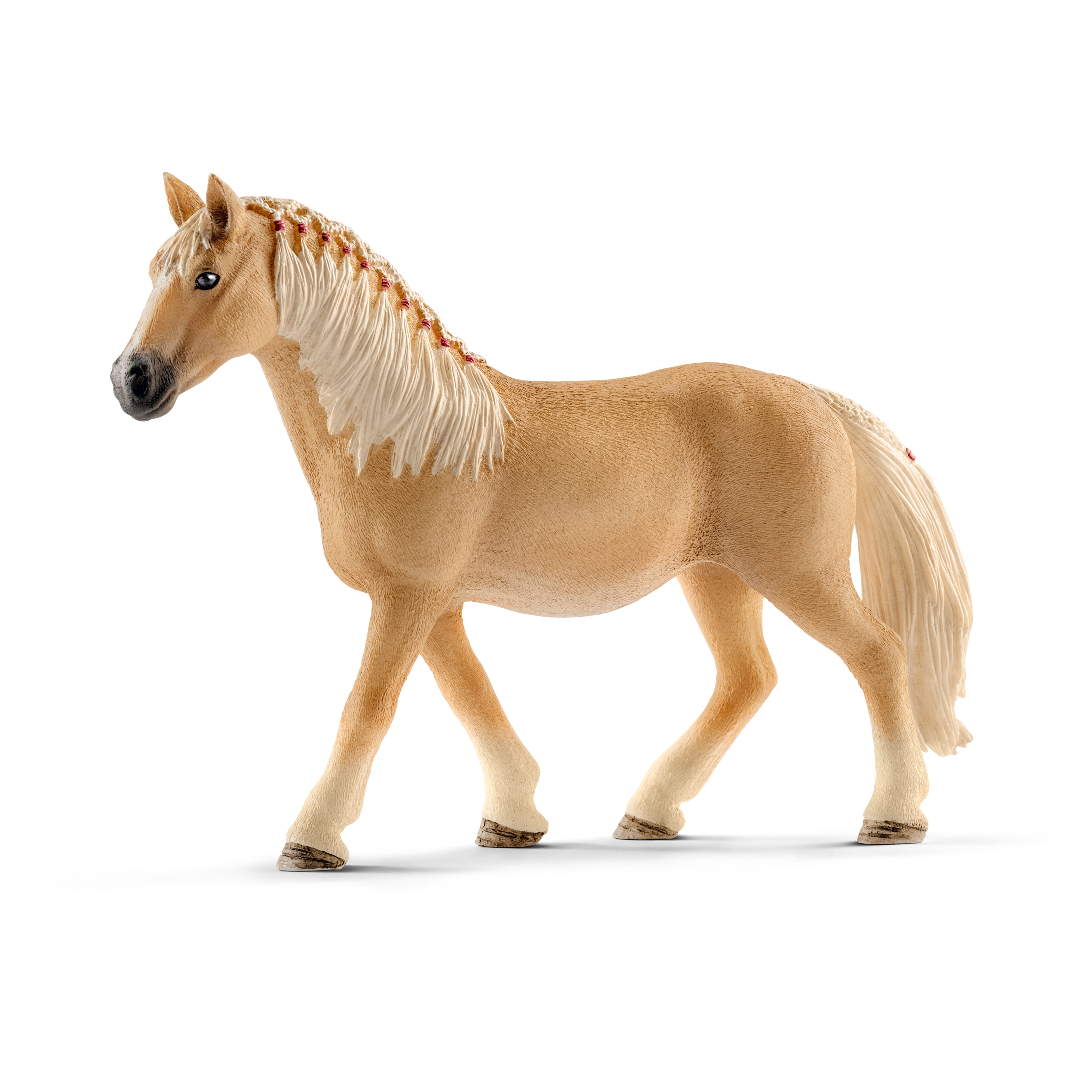 Égua Haflinger