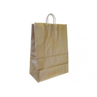 BOLSA KRAFT ASA RETORCIDA 240X100X310MM