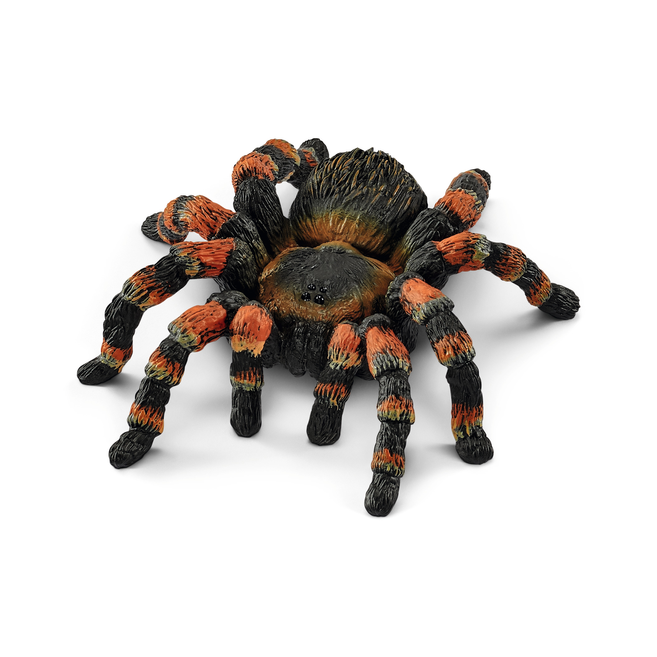 Tarantula