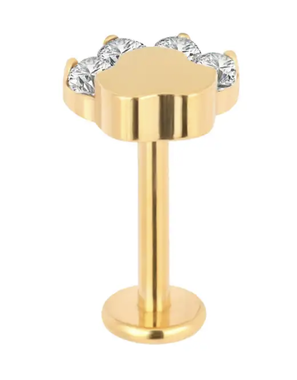 Patinha com zircônias fixadas Gold