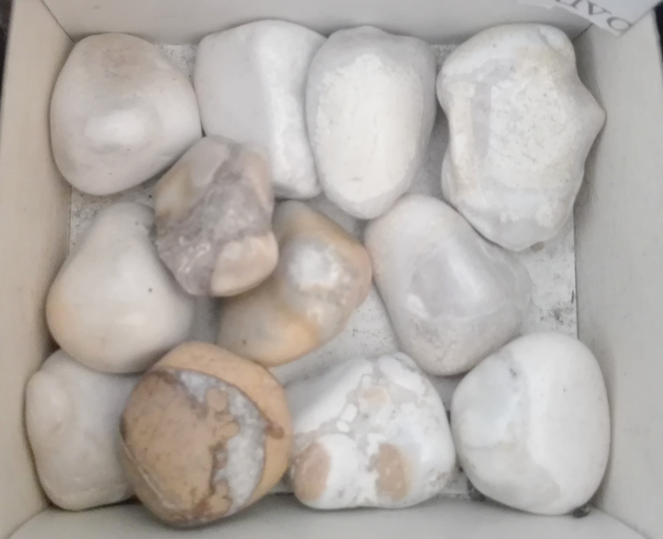 24x L tumble stones conglomerado