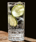 Gin and Tonic