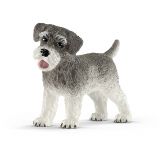 Schnauzer