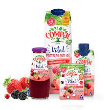 COMPAL VITAL FRUTOS VERMELHAS 0.20L 