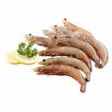 CAMARAO SENEGAL 30/40