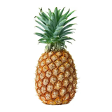 ANANAS UN 