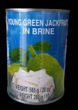 YOUNG GREEN JACKFRUIT IN BRINE 565