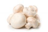 Cogumelos Brancos XL