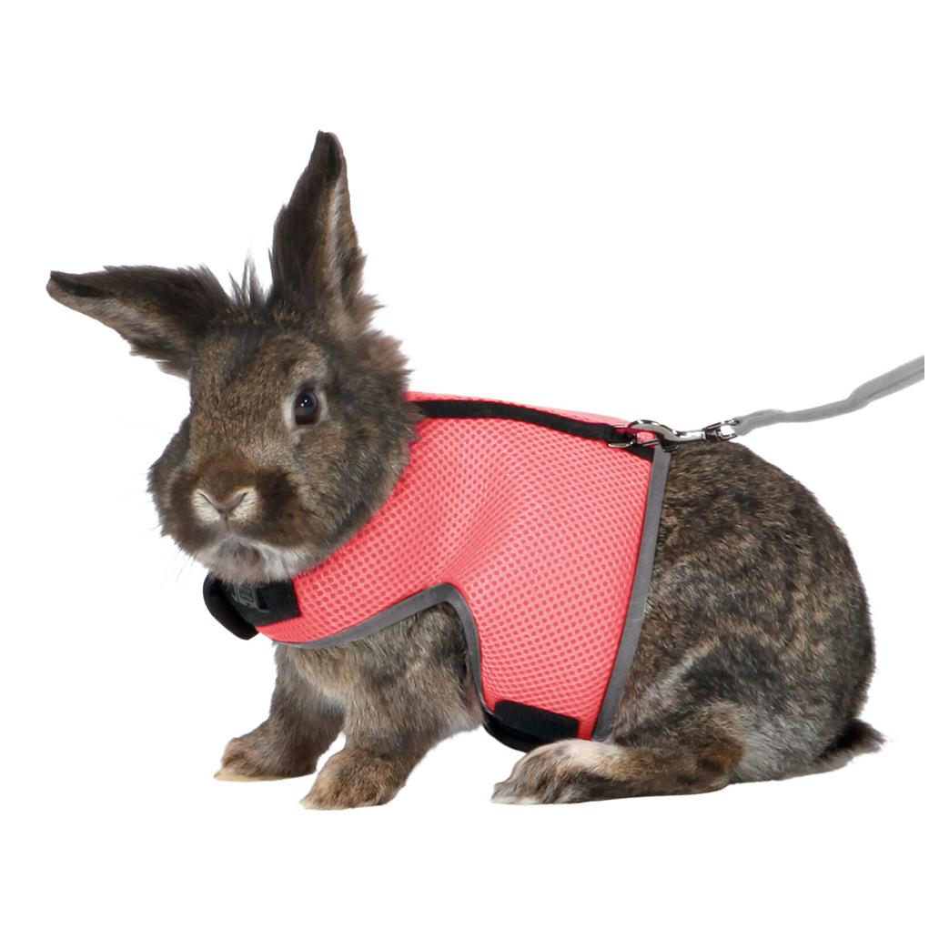 PEITORAL C/ TRELA ELÁSTICA P/ ROEDORES 25-40 CM