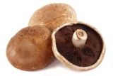 Cogumelos Portobello