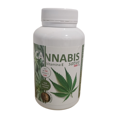 Cannabis sativs soldiet