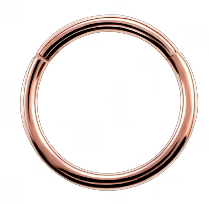 Argola Lisa Rose Segmentada Titânio  