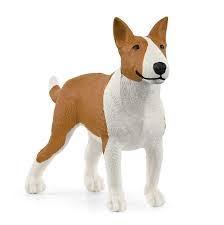 Bull terrier