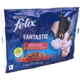 FELIX GELATINA FANTASTIC CARNE 4X85