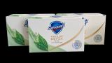 SAFEGUARD NATURAL DETOX 108G