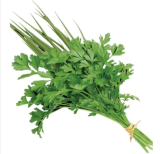 CHEIRO VERDE (CEBOLINHA+COENTRO) 80G 