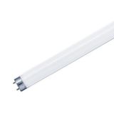 Lampada fluorescente T5 6W luz fria 6500K