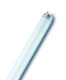 Lampada fluorescente T8 L 36W/840 Osram