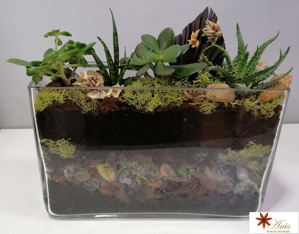 Composição de plantas em vaso de vidro