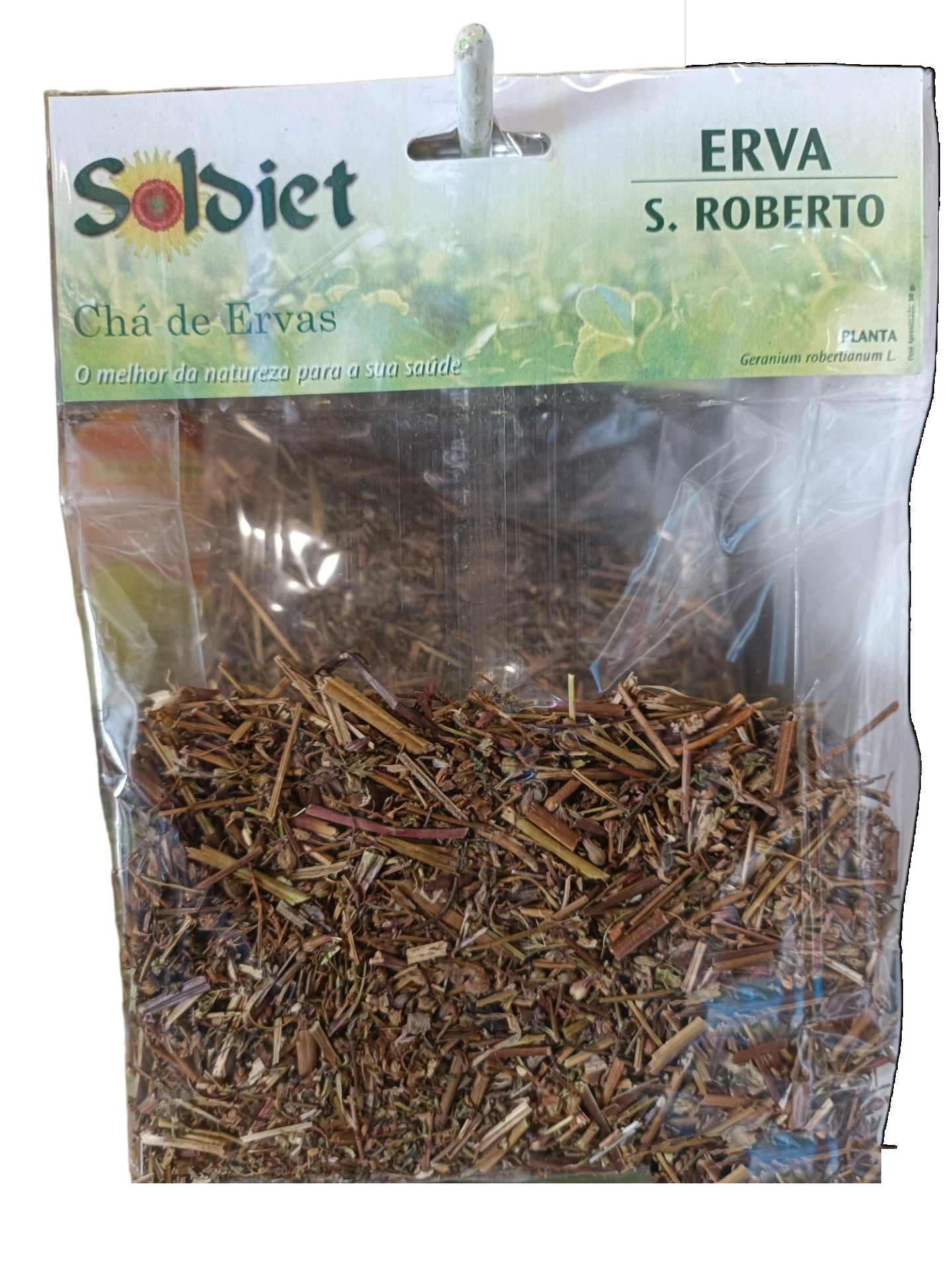 Erva de São Roberto Planta Soldiet