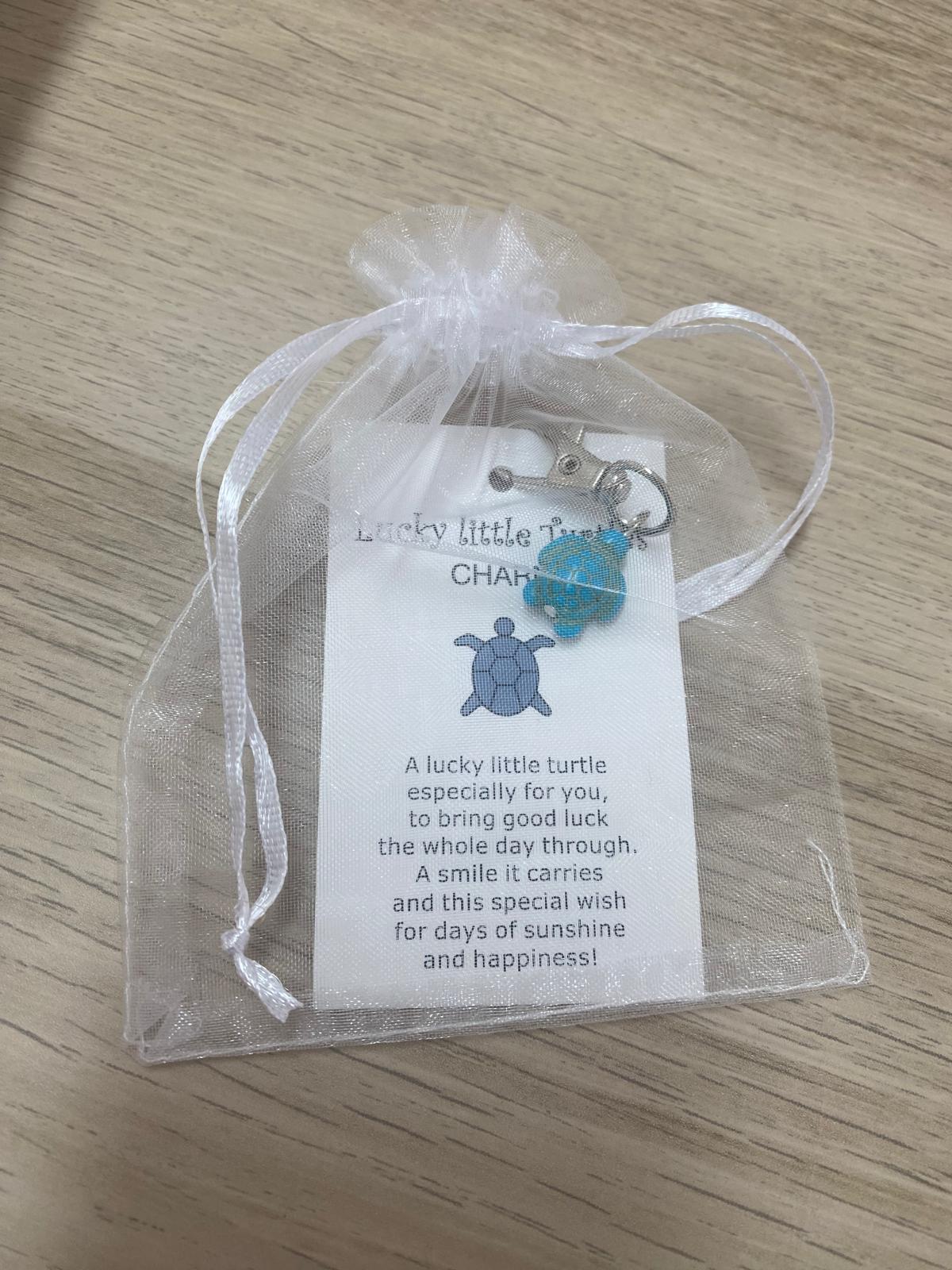 Porta Chaves Tartaruga da Sorte