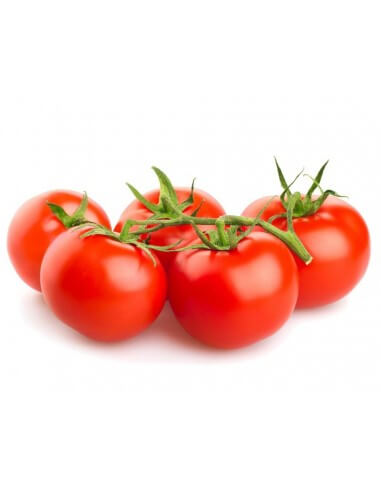 Tomate Rama