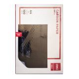 PAPEL CARBONO A4 100 FOLHAS