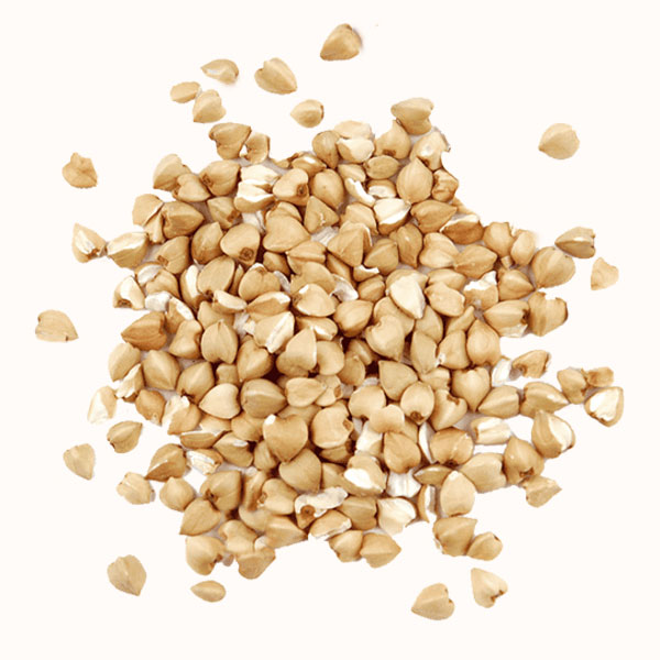 sementes de trigo sarraceno casca rija