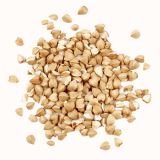sementes de trigo sarraceno 