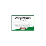 Lactobacillus plus