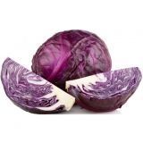 Couve Roxa Pack 15