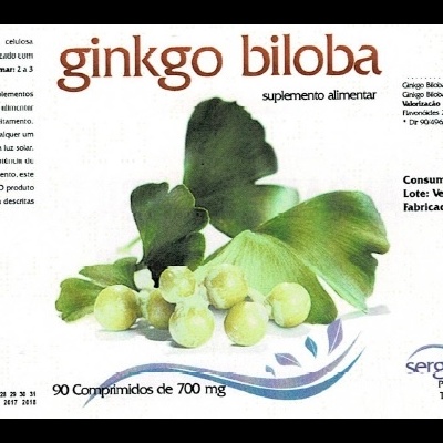 Ginkgo Biloba 90comp. (Sergifarma)