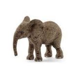 Elefante africano, cria