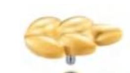 Piercing Folhinha Gold