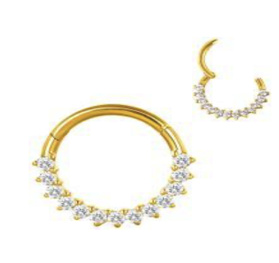 Argola Paris 13 Gold