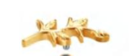 Piercing Galho Liso Gold