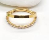 Argola Panamá 8mm Gold