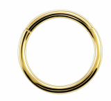 Argola Lisa Segmentada Titânio  Gold