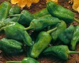 Pimento Padron Picante