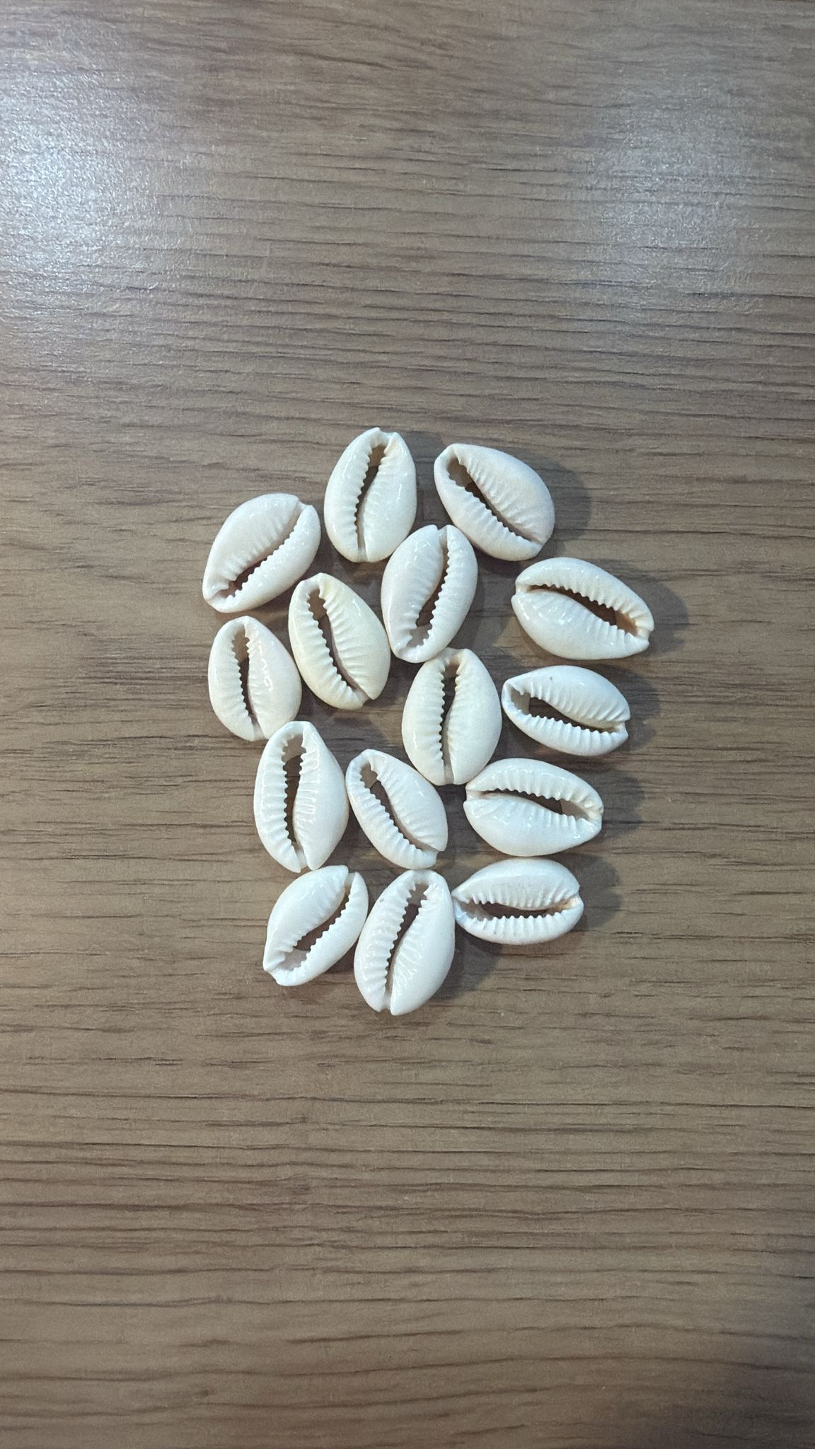 Búzios aberto branco 